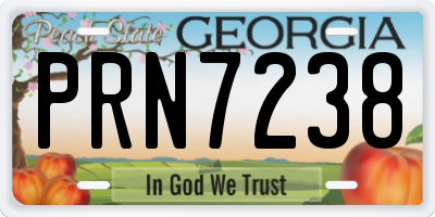 GA license plate PRN7238