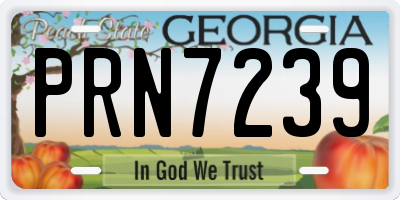GA license plate PRN7239
