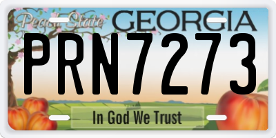 GA license plate PRN7273