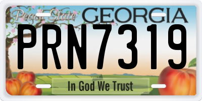 GA license plate PRN7319
