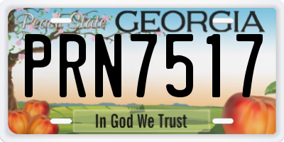 GA license plate PRN7517
