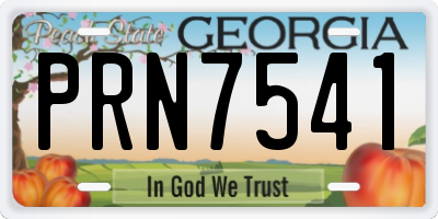 GA license plate PRN7541