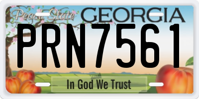 GA license plate PRN7561