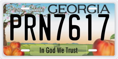 GA license plate PRN7617
