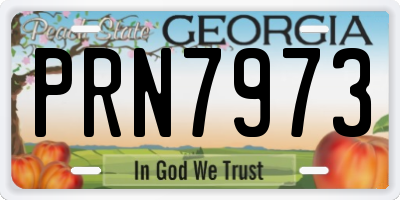 GA license plate PRN7973
