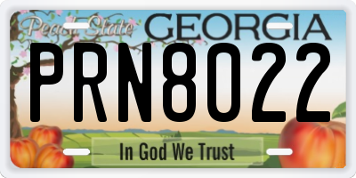 GA license plate PRN8022
