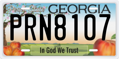 GA license plate PRN8107