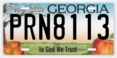 GA license plate PRN8113