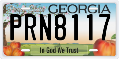 GA license plate PRN8117