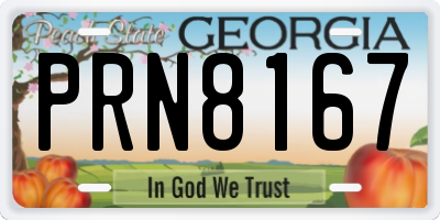 GA license plate PRN8167