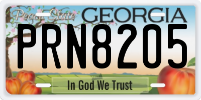 GA license plate PRN8205