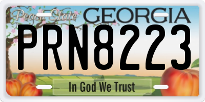 GA license plate PRN8223