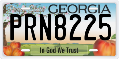 GA license plate PRN8225