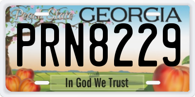 GA license plate PRN8229