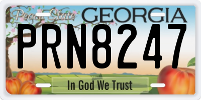 GA license plate PRN8247
