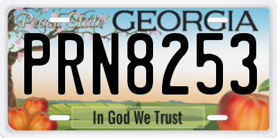 GA license plate PRN8253