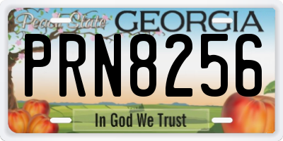 GA license plate PRN8256