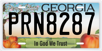 GA license plate PRN8287
