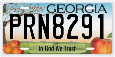 GA license plate PRN8291