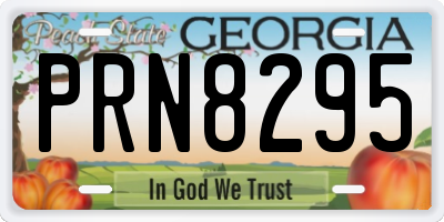 GA license plate PRN8295