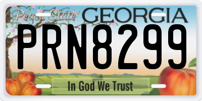 GA license plate PRN8299