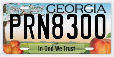 GA license plate PRN8300
