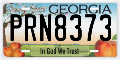 GA license plate PRN8373
