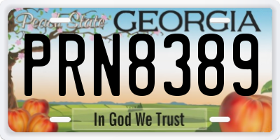 GA license plate PRN8389