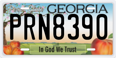 GA license plate PRN8390