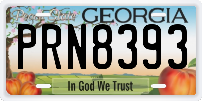 GA license plate PRN8393