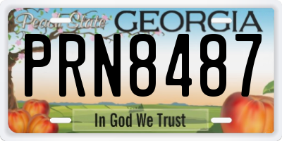 GA license plate PRN8487