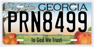 GA license plate PRN8499