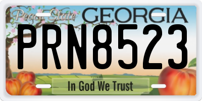 GA license plate PRN8523