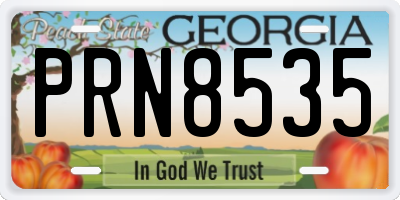 GA license plate PRN8535