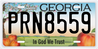 GA license plate PRN8559