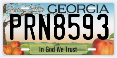 GA license plate PRN8593