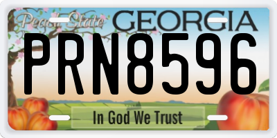 GA license plate PRN8596