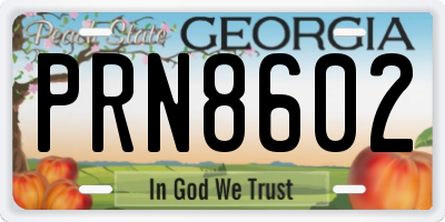 GA license plate PRN8602