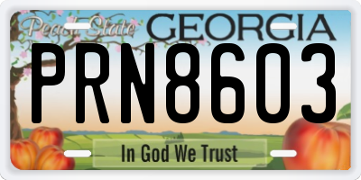 GA license plate PRN8603