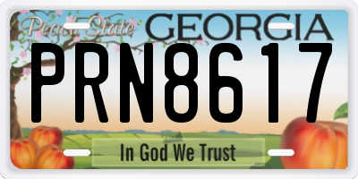 GA license plate PRN8617