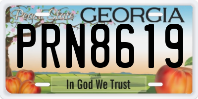 GA license plate PRN8619