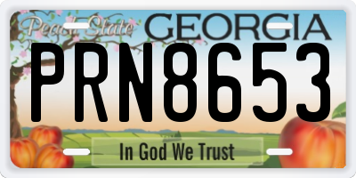 GA license plate PRN8653