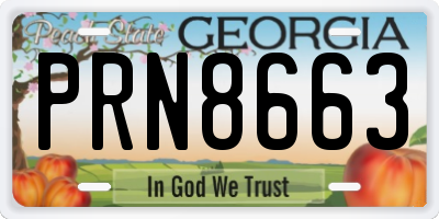 GA license plate PRN8663