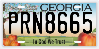 GA license plate PRN8665
