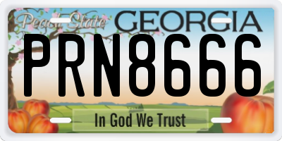 GA license plate PRN8666