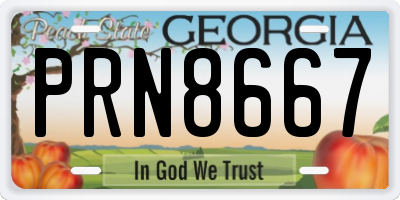 GA license plate PRN8667