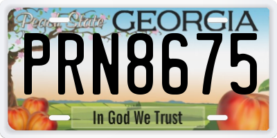GA license plate PRN8675