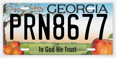 GA license plate PRN8677