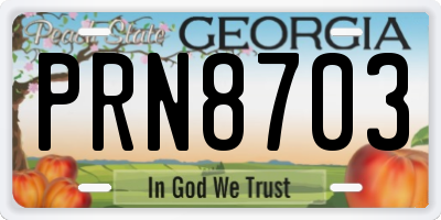 GA license plate PRN8703