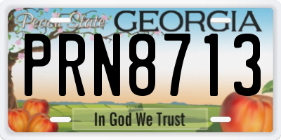 GA license plate PRN8713